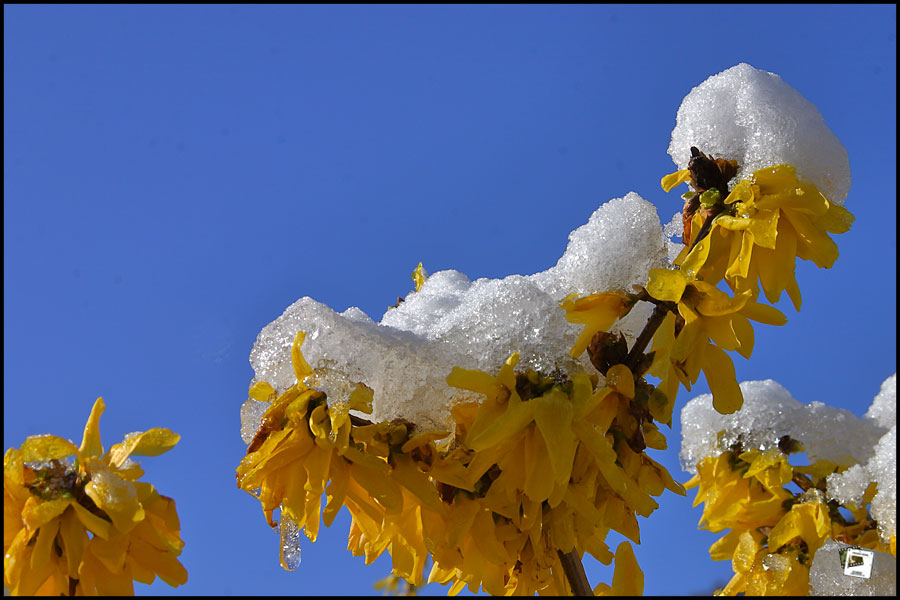 %Europe/Berlin Apr 26