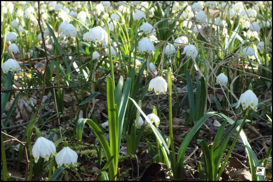 %Europe/Berlin Mar 26
