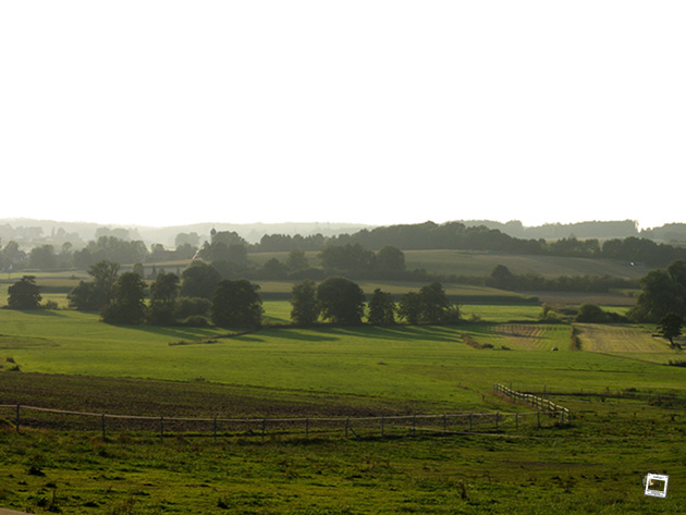 31 Aug 08