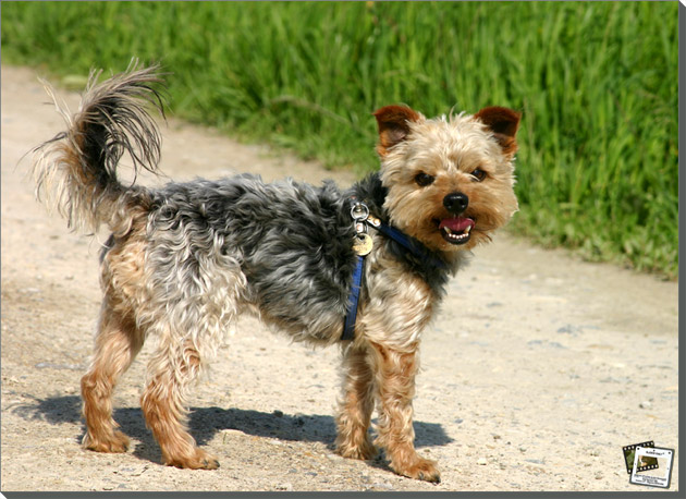 %Europe/Berlin Mar 08