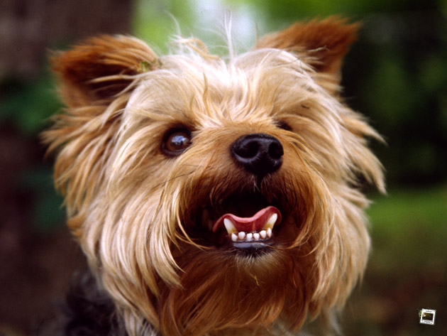 %Europe/Berlin Apr 09