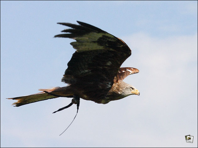 %Europe/Berlin Jan 12
