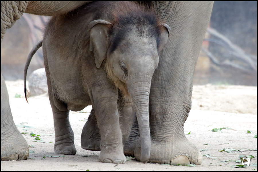 2019-08-16_10-26-09-750_02 2019-08-16_10-26-09-750_02