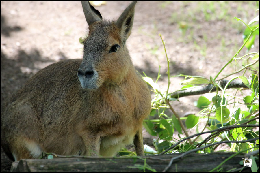 2019-08-16_15-25-17-600_02 2019-08-16_15-25-17-600_02