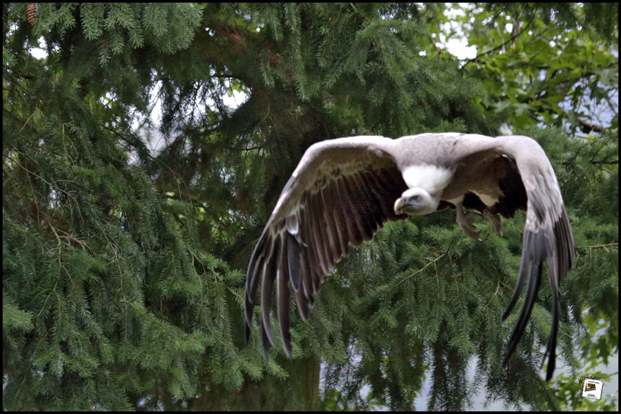 2019-08-17_15-23-07-750_02 2019-08-17_15-23-07-750_02