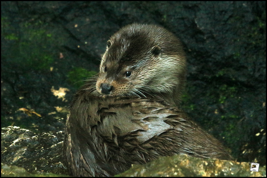 2022-09-15_09-43-22-750-Stilfser-Joch 2022-09-15_09-43-22-750-Stilfser-Joch