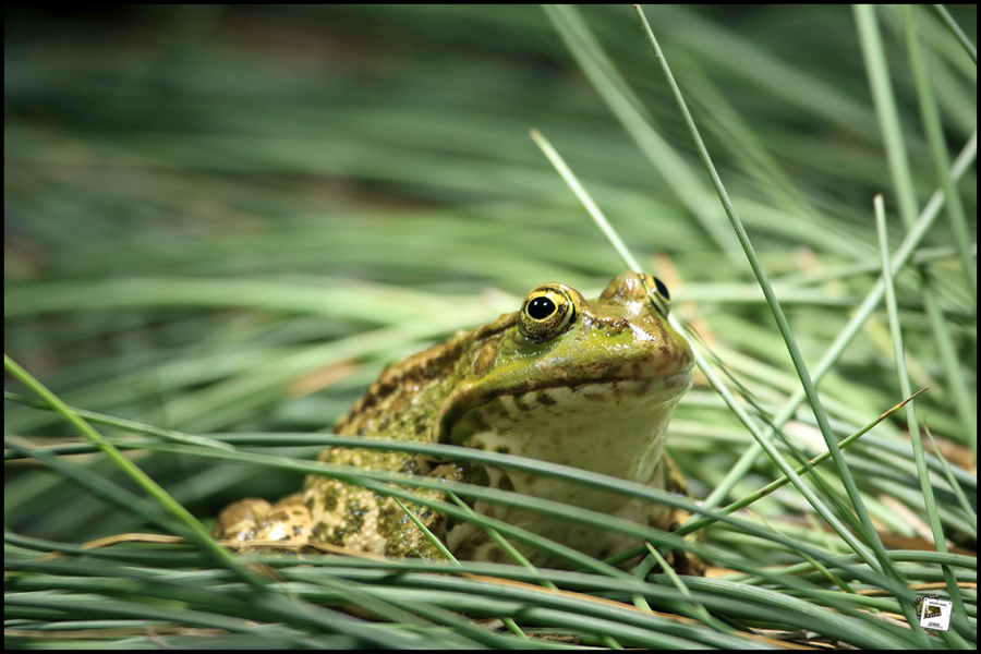 2022-09-15_09-51-20-750-Stilfser-Joch 2022-09-15_09-51-20-750-Stilfser-Joch