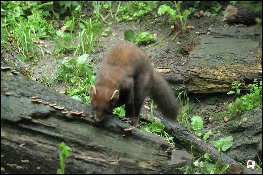 2022-09-15_10-15-09-750-Stilfser-Joch 2022-09-15_10-15-09-750-Stilfser-Joch