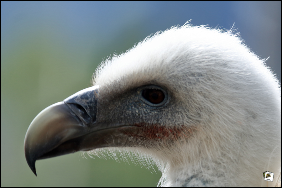 2022-09-15_11-00-07-750-Stilfser-Joch 2022-09-15_11-00-07-750-Stilfser-Joch