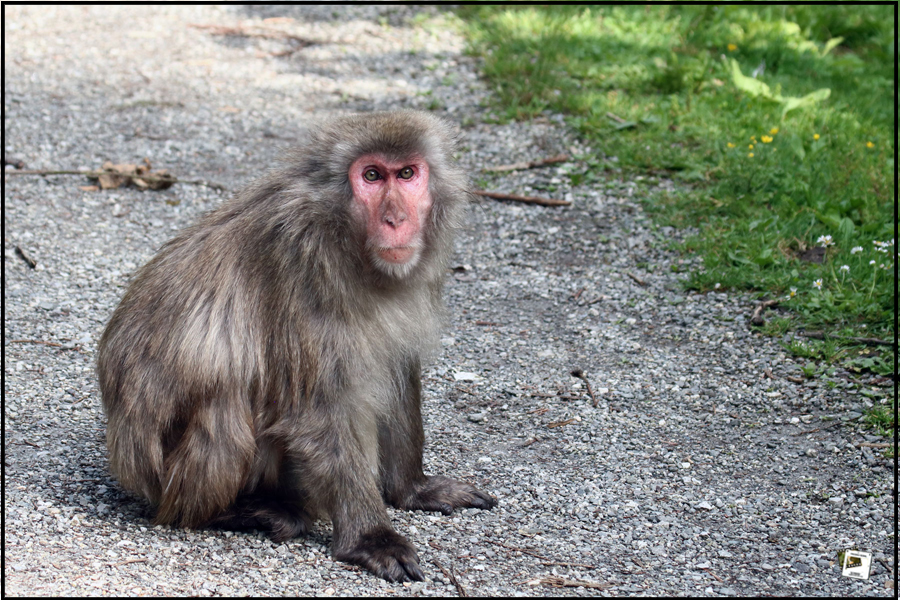 2023-06-11_17-06-32-Kroatien-2023-750D (2) 2023-06-11_17-06-32-Kroatien-2023-750D (2)