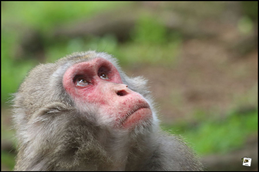 2023-06-11_17-21-54-Kroatien-2023-750D (2) 2023-06-11_17-21-54-Kroatien-2023-750D (2)