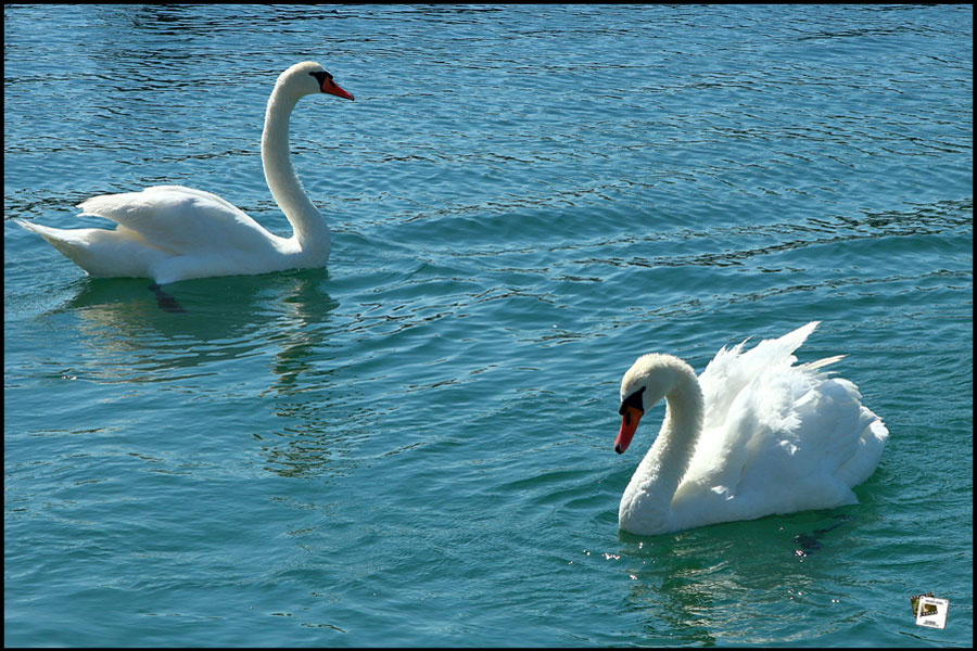 2023-06-16_09-47-03-Kroatien-2023-600D 2023-06-16_09-47-03-Kroatien-2023-600D