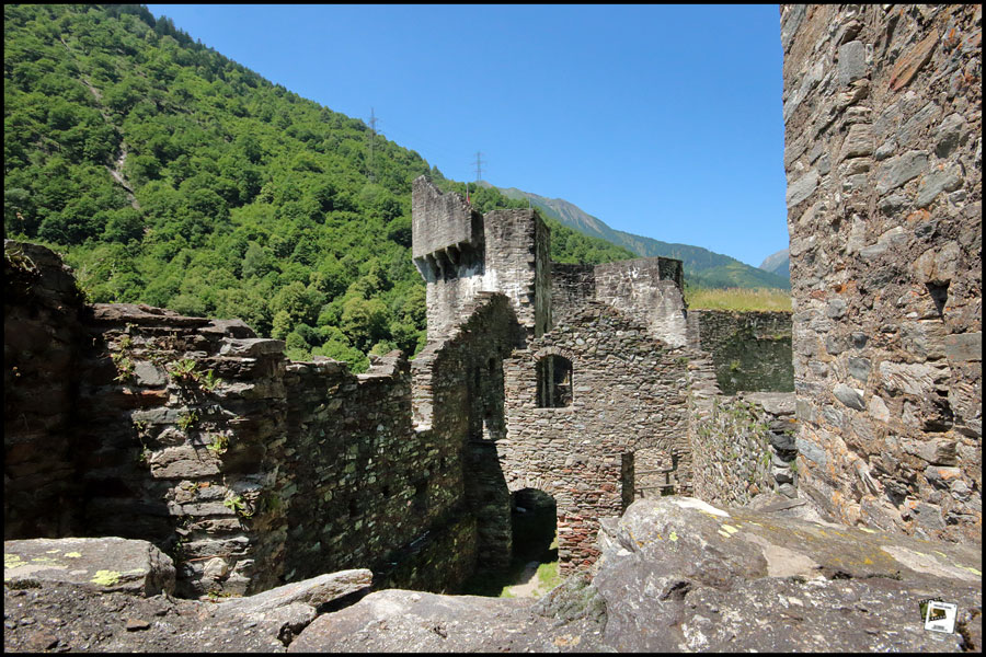 2025-06-24_14-08-19-Cervo-2025-600D 2025-06-24_14-08-19-Cervo-2025-600D