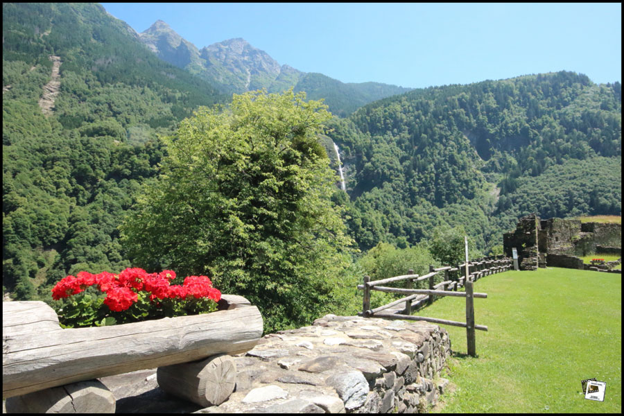 2025-06-24_14-11-09-Cervo-2025-600D 2025-06-24_14-11-09-Cervo-2025-600D