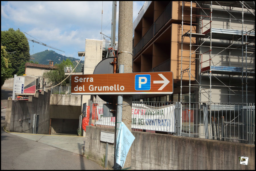 2025-06-24_17-38-41-Cervo-2025-600D 2025-06-24_17-38-41-Cervo-2025-600D