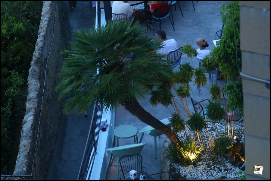 2025-06-25_21-16-21-Cervo-2025-750D 2025-06-25_21-16-21-Cervo-2025-750D