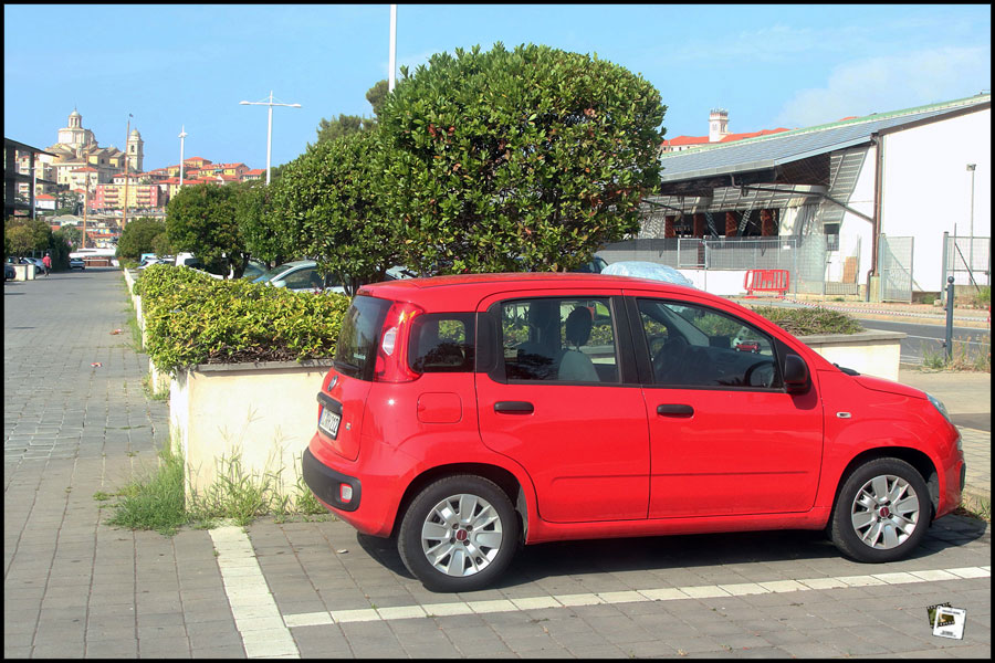 2025-06-26_09-41-28-Cervo-2025-600D 2025-06-26_09-41-28-Cervo-2025-600D