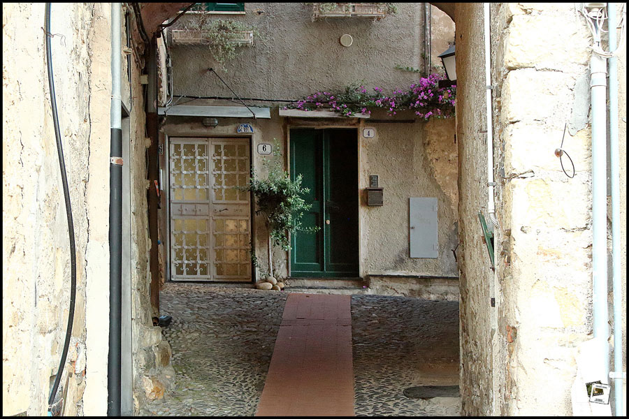 2025-06-26_19-07-04-Cervo-2025-600D 2025-06-26_19-07-04-Cervo-2025-600D