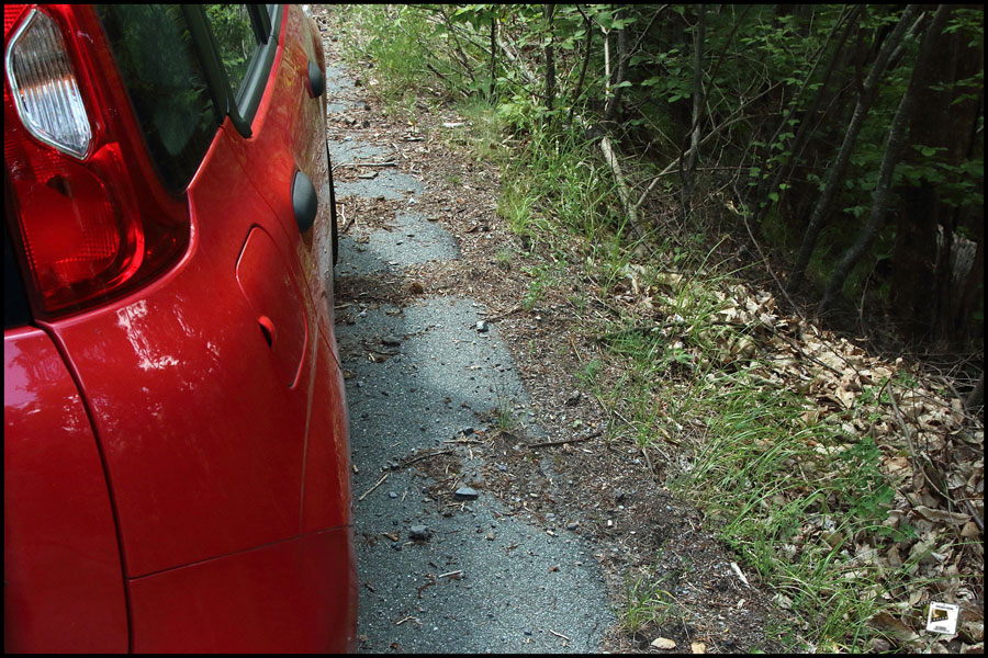 2025-06-27_13-02-37-Cervo-2025-600D 2025-06-27_13-02-37-Cervo-2025-600D