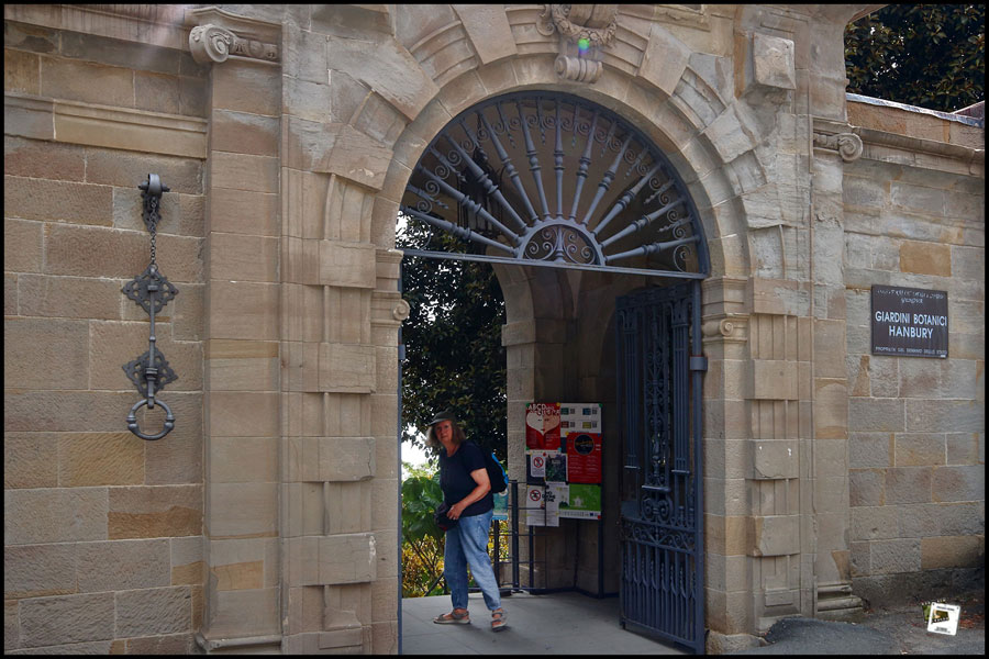 2025-06-27_15-09-24-Cervo-2025-750D 2025-06-27_15-09-24-Cervo-2025-750D