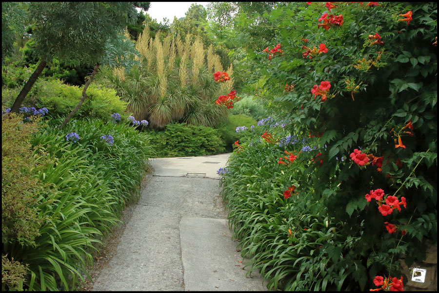 2025-06-27_16-37-18-Cervo-2025-600D 2025-06-27_16-37-18-Cervo-2025-600D