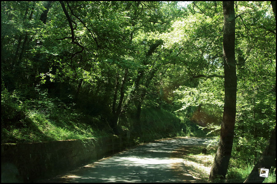 2025-06-28_12-10-47-Cervo-2025-600D 2025-06-28_12-10-47-Cervo-2025-600D