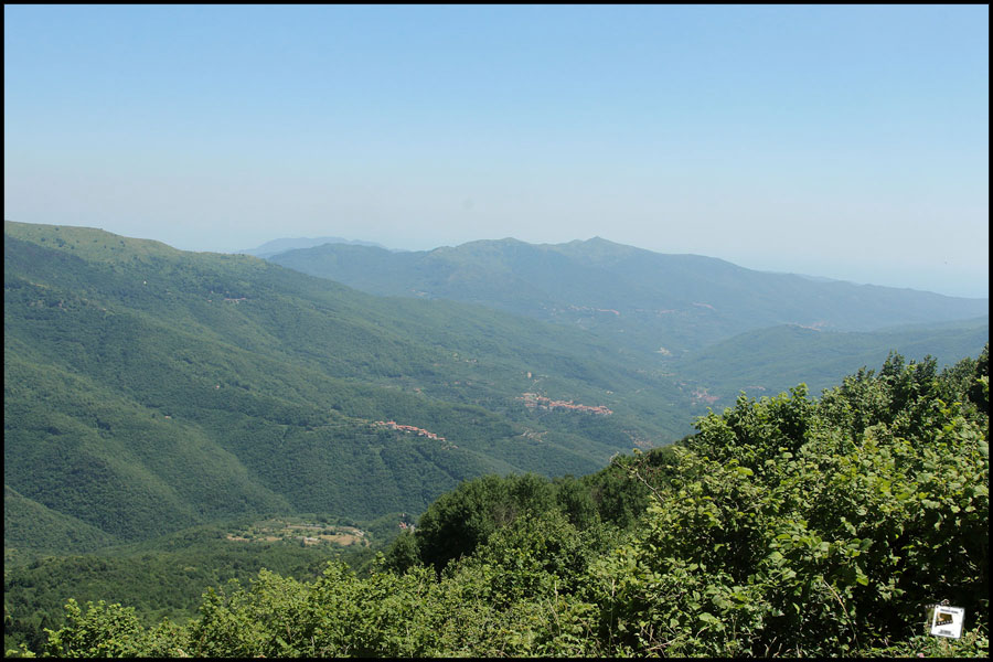 2025-06-28_13-00-04-Cervo-2025-600D 2025-06-28_13-00-04-Cervo-2025-600D