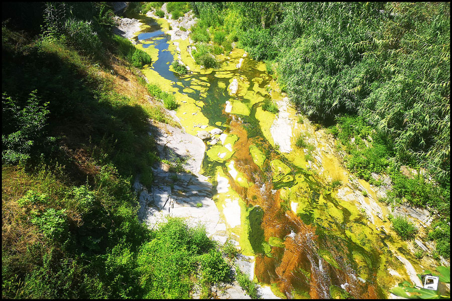 2025-06-28_14-20-22-Cervo-2025-Susanne-Bilder 2025-06-28_14-20-22-Cervo-2025-Susanne-Bilder