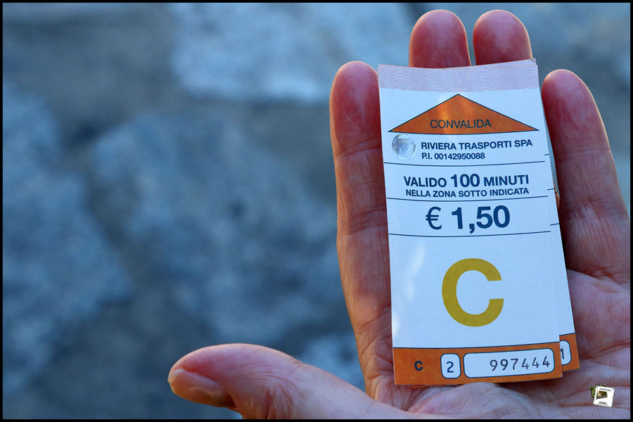 2025-06-28_18-04-08-Cervo-2025-750D 2025-06-28_18-04-08-Cervo-2025-750D