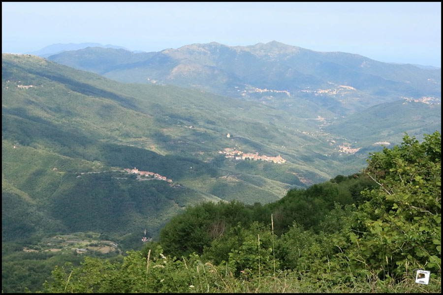 2025-06-29_17-00-23-Cervo-2025-750D 2025-06-29_17-00-23-Cervo-2025-750D