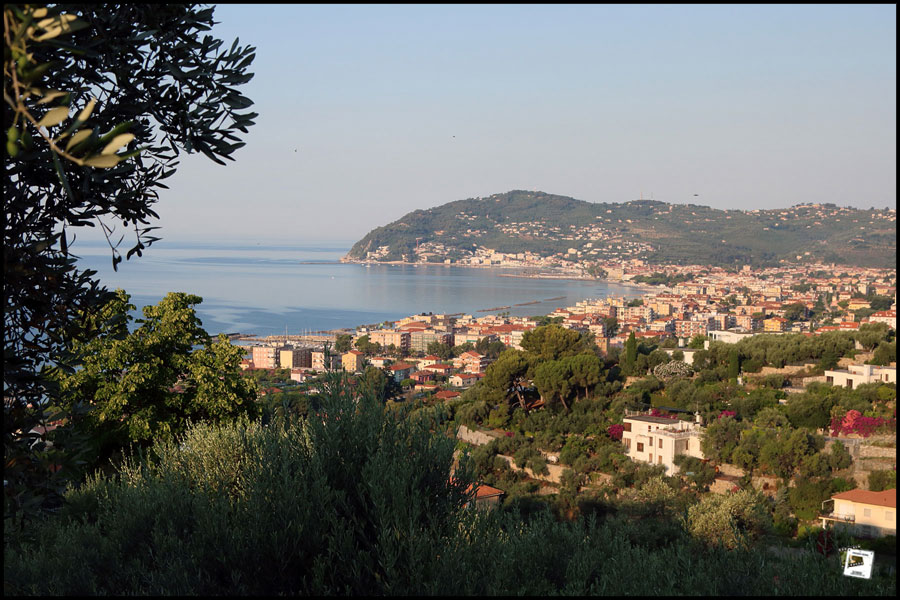 2025-06-30_07-14-47-Cervo-2025-750D 2025-06-30_07-14-47-Cervo-2025-750D