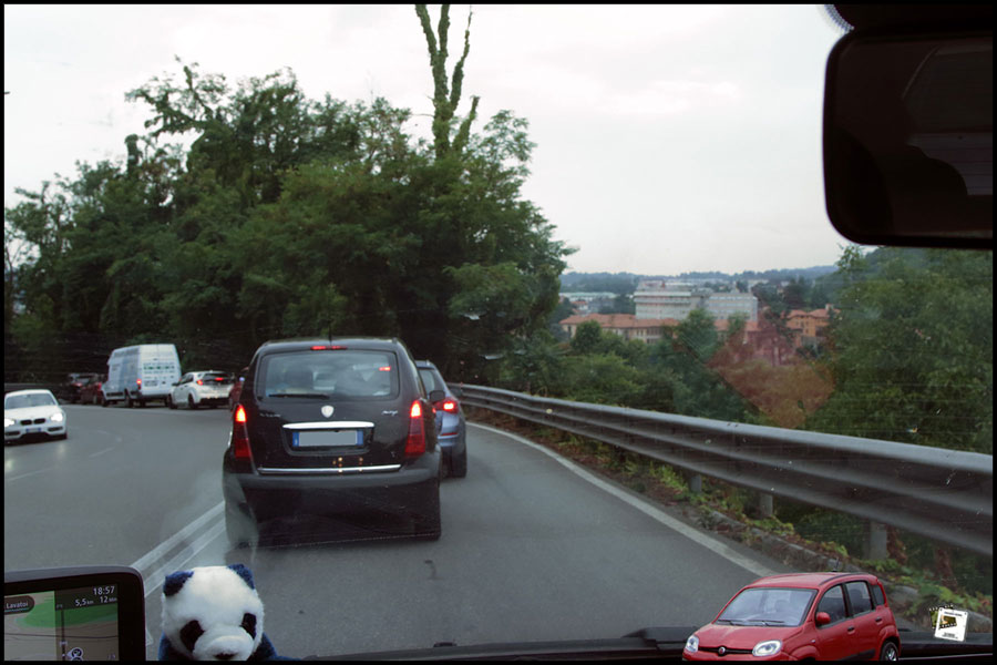 2025-06-30_18-46-53-Cervo-2025-600D 2025-06-30_18-46-53-Cervo-2025-600D