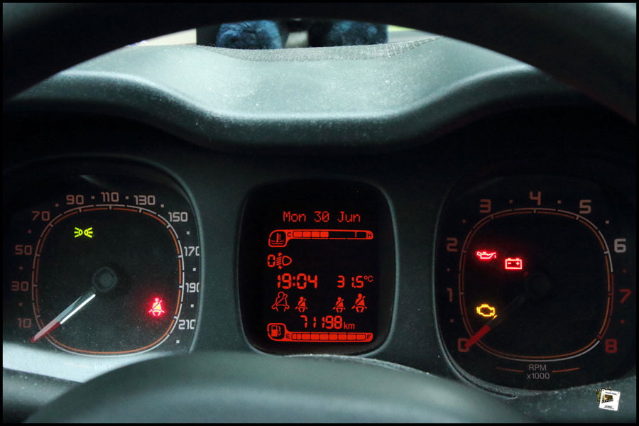 2025-06-30_19-05-40-Cervo-2025-600D 2025-06-30_19-05-40-Cervo-2025-600D