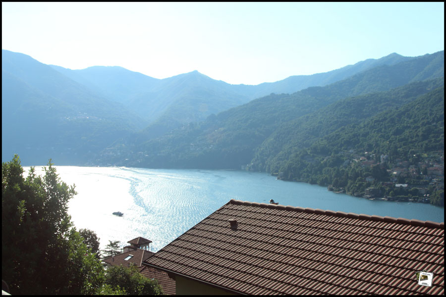 2025-07-01_08-51-31-Cervo-2025-600D 2025-07-01_08-51-31-Cervo-2025-600D