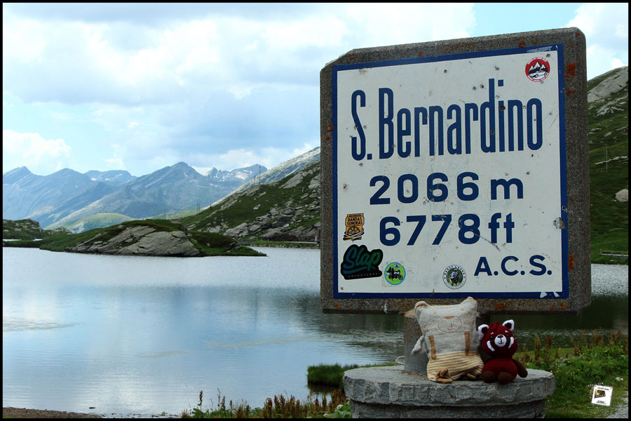 2025-07-01_12-33-35-Cervo-2025-600D 2025-07-01_12-33-35-Cervo-2025-600D