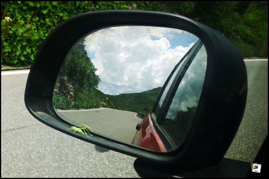 2025-07-01_12-44-06-Cervo-2025-Susanne-Bilder 2025-07-01_12-44-06-Cervo-2025-Susanne-Bilder