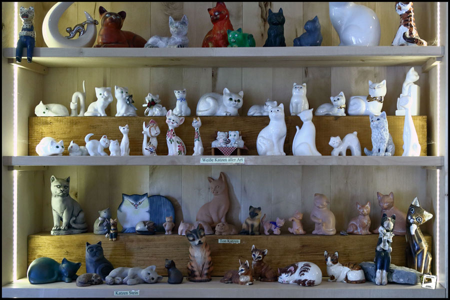 2025-04-30_11-44-16-Fährtle zur Burg Katzenstein bei Dischingen-korr 2025-04-30_11-44-16-Fährtle zur Burg Katzenstein bei Dischingen-korr