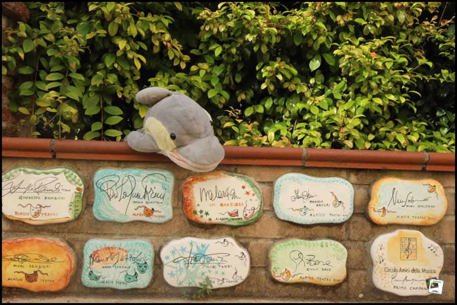 2025-06-25_17-45-08-Cervo-2025-600D 2025-06-25_17-45-08-Cervo-2025-600D