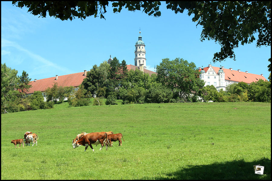 2025-08-09_12-59-24-Katzenstein und Hocketse Neresheim 2025-08-09_12-59-24-Katzenstein und Hocketse Neresheim