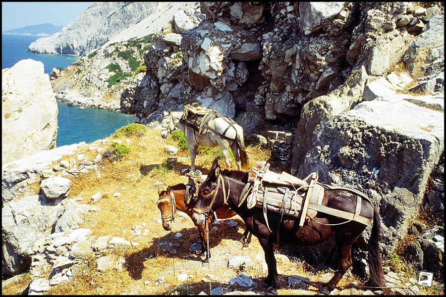Griechenland-1995-Kastro-Esel Griechenland-1995-Kastro-Esel