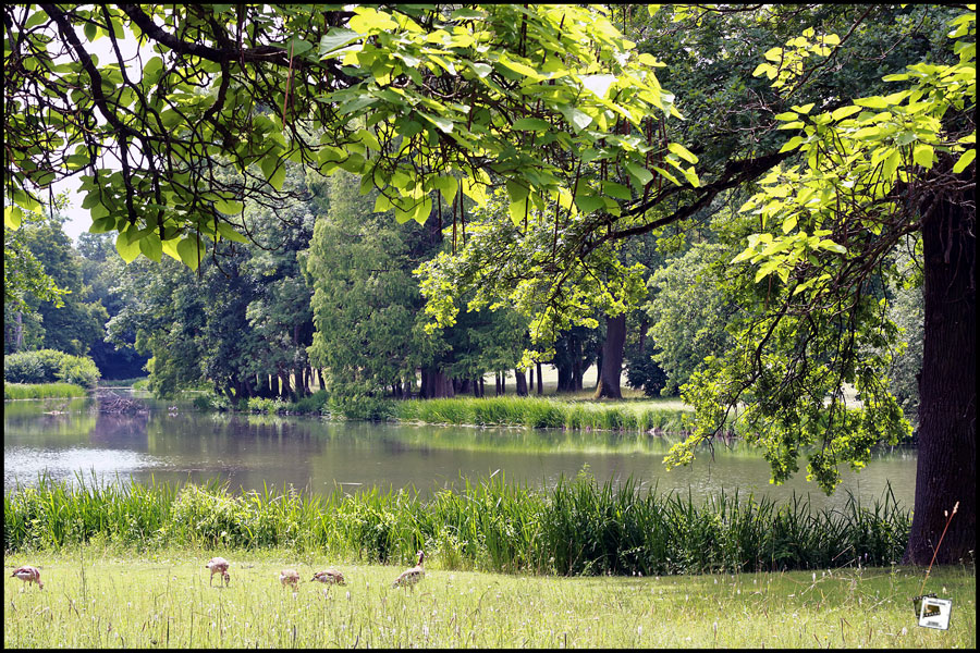 2026-06-16_13-07-59-Holland-Fährtle 2026-750D- 2026-06-16_13-07-59-Holland-Fährtle 2026-750D-