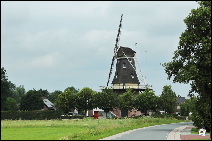 2026-06-17_12-11-06-Holland-Fährtle 2026-600D- 2026-06-17_12-11-06-Holland-Fährtle 2026-600D-