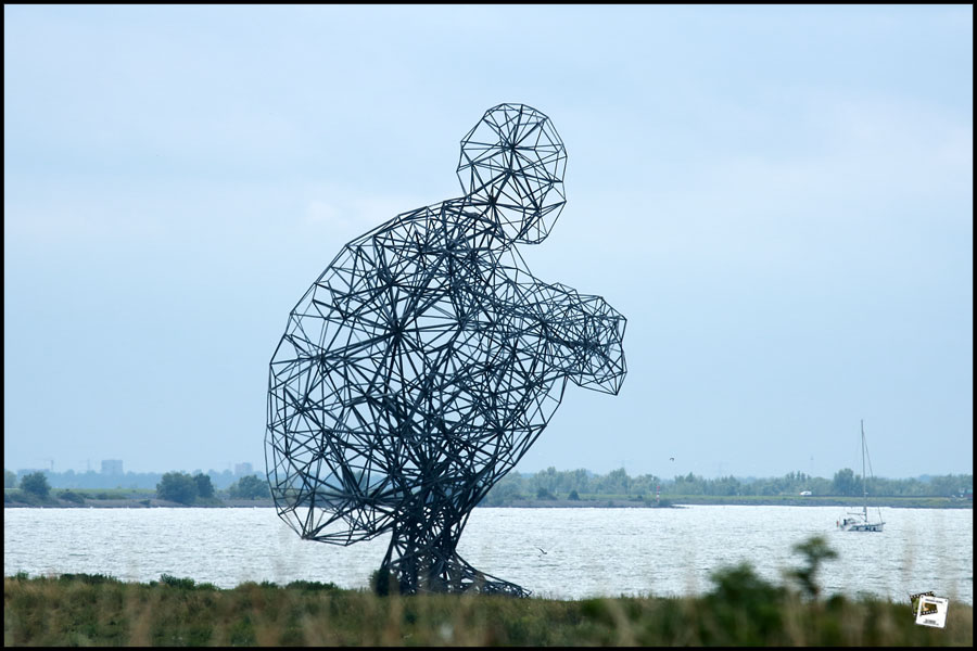 2026-06-17_14-30-13-Holland-Fährtle 2026-750D- 2026-06-17_14-30-13-Holland-Fährtle 2026-750D-