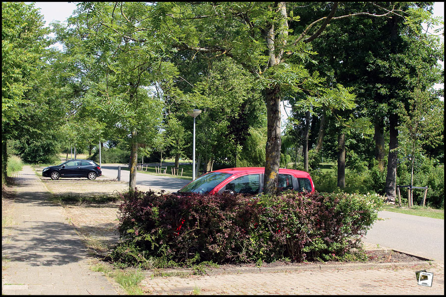 2026-06-18_12-38-36-Holland-Fährtle 2026-600D- 2026-06-18_12-38-36-Holland-Fährtle 2026-600D-