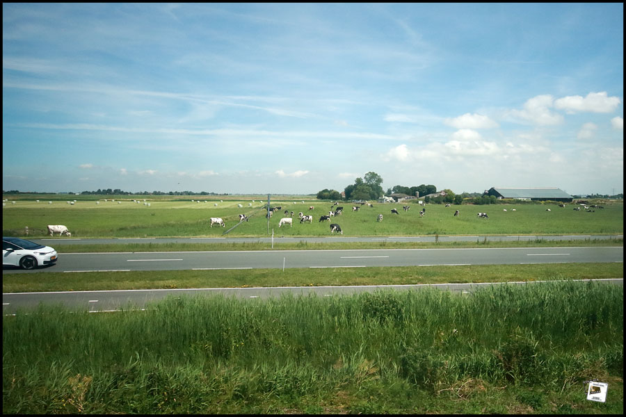 2026-06-18_13-29-49-Holland-Fährtle 2026-750D- 2026-06-18_13-29-49-Holland-Fährtle 2026-750D-
