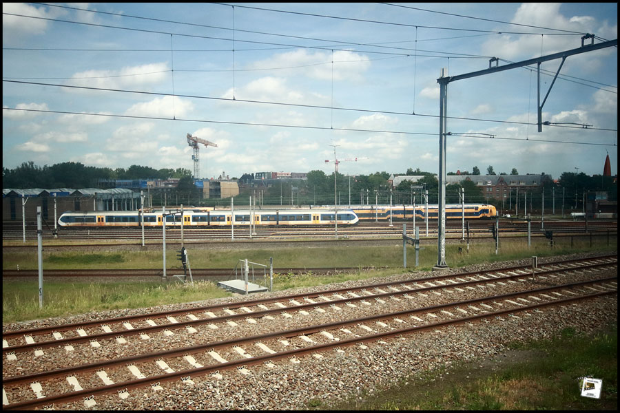 2026-06-18_13-51-14-Holland-Fährtle 2026-750D- 2026-06-18_13-51-14-Holland-Fährtle 2026-750D-
