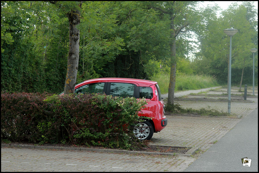 2026-06-18_19-25-09-Holland-Fährtle 2026-600D- 2026-06-18_19-25-09-Holland-Fährtle 2026-600D-