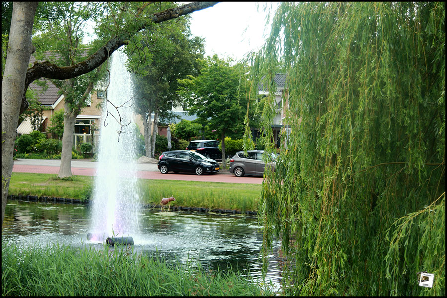 2026-06-18_19-25-19-Holland-Fährtle 2026-600D- 2026-06-18_19-25-19-Holland-Fährtle 2026-600D-