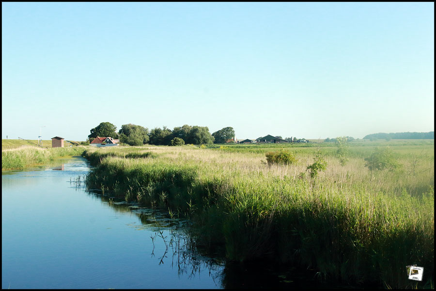 2026-06-19_08-10-17-Holland-Fährtle 2026-600D- 2026-06-19_08-10-17-Holland-Fährtle 2026-600D-