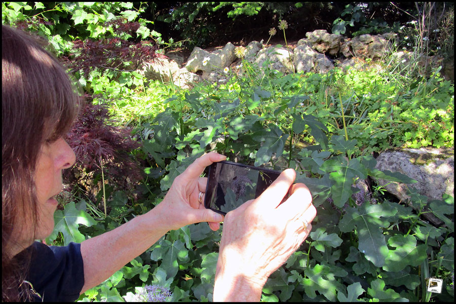 2026-06-19_16-05-45-Holland-Fährtle 2026-IXUS- 2026-06-19_16-05-45-Holland-Fährtle 2026-IXUS-